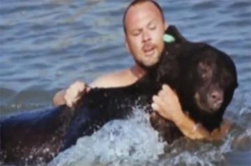Американец спас тонущего медведя (ВИДЕО)