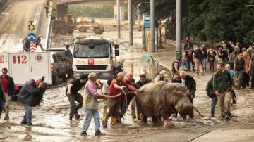 В Тбилиси подсчитывают ущерб от наводнения