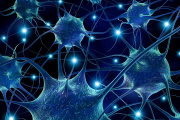3D-нейроны помогут в лечении болезни Паркинсона
