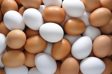 Употребление яиц стимулирует работу мозга