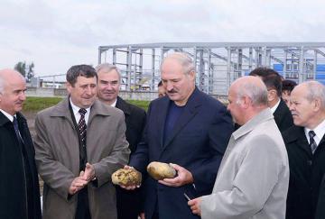 У Лукашенко отобрали звание «картофельного короля» (ФОТО)