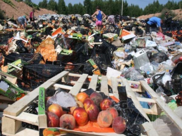 Как Путин опозорил свою страну. Россияне собирают уничтоженные продукты (ФОТО)