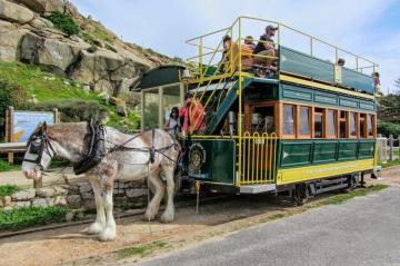 Австралийский трамвай в одну лошадиную силу (ФОТО)