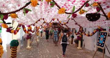 Буйство красок. Фестиваль цветов в Португалии (ФОТО)