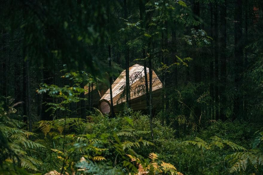Эстонские студенты построили огромный рупор в лесу (ФОТО)