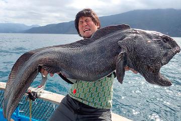 У берегов Фукусимы выловили рыбу-мутанта (ФОТО)