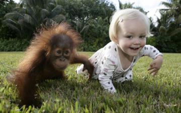 В мире животных: малыш и обезьяна (ВИДЕО)