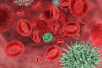 Медики обнаружили новый  вирус, который может нанести серьезный вред здоровью человека