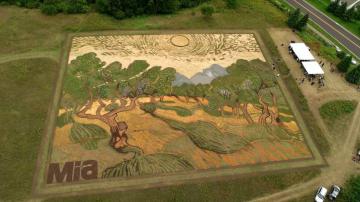 В американском штате Миннесота появилась гигантская картина Ван Гога (ВИДЕО)