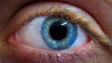 Стволовые клетки помогут вернуть зрение