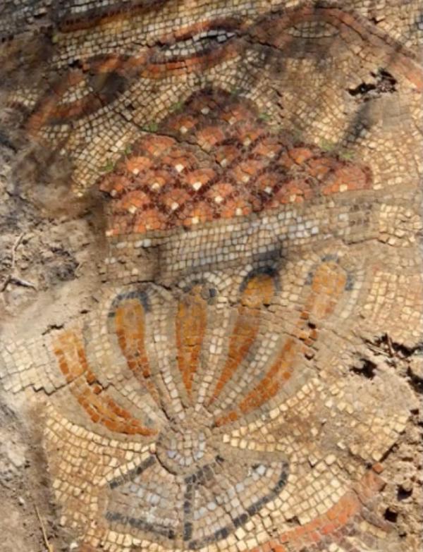 Найденная в Израиле древняя мозаика оказалась картой египетского города (ФОТО)