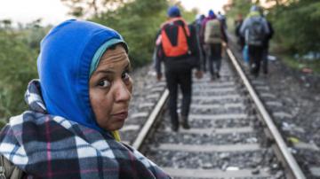 Готов план по устранению наплыва беженцев в страны Европы