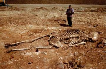 Огромные человеческие скелеты отправили на экспертизу в Германию