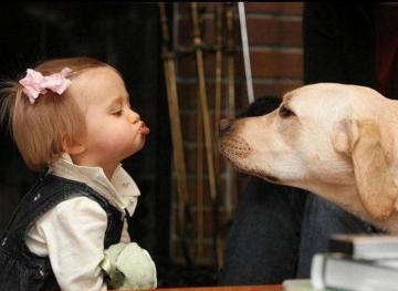  15 поразительных примеров дружбы детей и животных (ФОТО)