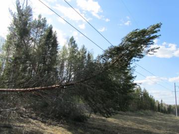 В Украине 224 города из-за плохой погоды остались без электричества