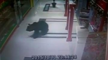 В Хабаровске застрелили ворвавшегося в торговый центр медведя (ВИДЕО)