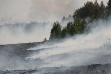 На Киевщине  горит 15,06 га торфяников (ФОТО)