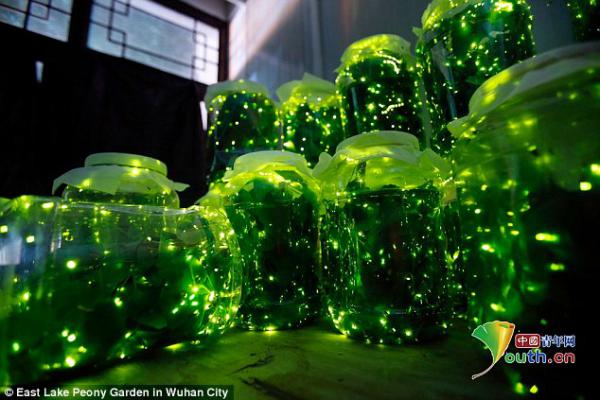 В Китае открыли сияющий парк со светлячками (ФОТО)