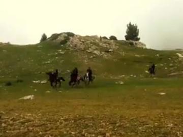 Боевики ИГИЛ пересели на лошадей