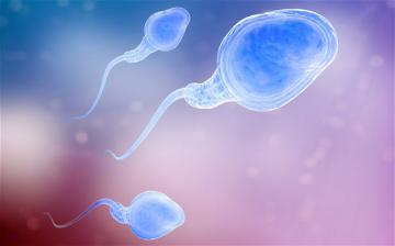 Медики призывают мужчин к заморозке спермы