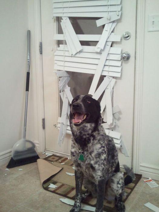 20 случаев, когда люди были совсем близко к цели, но потерпели неудачу (ФОТО) 20 случаев, когда люди были совсем близко к цели, но потерпели неудачу (ФОТО)