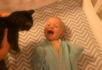 Реакция 10-месячного ребенка на появление кошки (ВИДЕО)