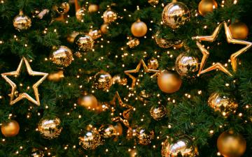 Стало известно, где в Киеве установят главную новогоднюю елку