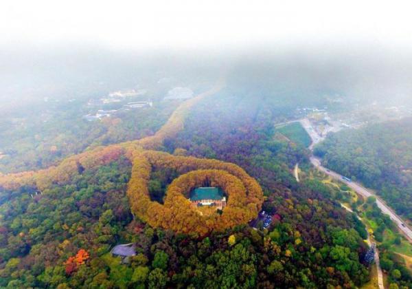 Удивительный Китай: дворец-ожерелье в пригороде Нанкина (ФОТО)