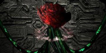 Ученые превратили живую розу в киборга