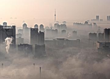 Сотни жителей госпитализированы из-за смога в Польше