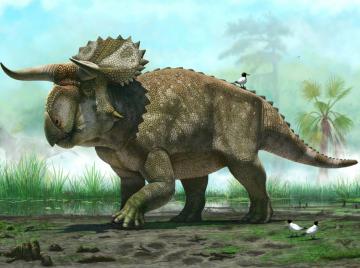 Исследователи обнаружили останки нового вида динозавров