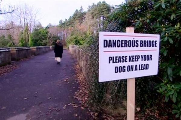 Загадочный мост в Шотландии заставляет собак прыгать в пропасть (ФОТО)