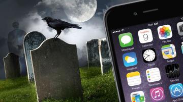 На московских кладбищах начнут раздавать Wi-Fi