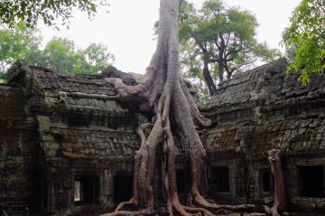 В Камбодже найдены загадочные гигантские сооружения