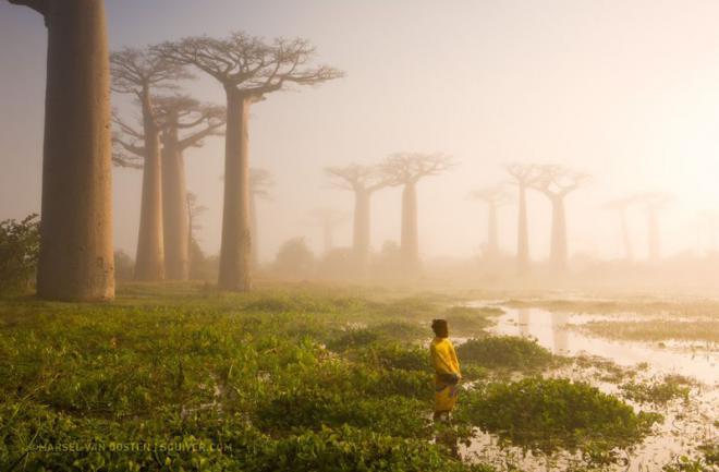 20 лучших фотографий года по версии читателей National Geographic (ФОТО)