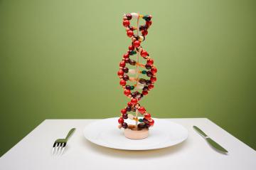 ДНК-диета навсегда решит проблемы с лишним весом