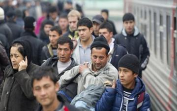 Ситуация с мигрантами в Украине не несет угрозы для ЕС