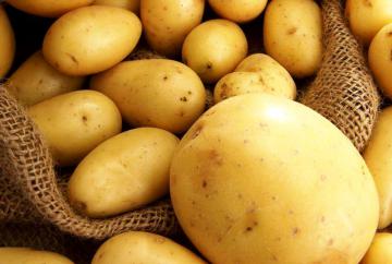 Ученые: будущим матерям стоит опасаться картофеля