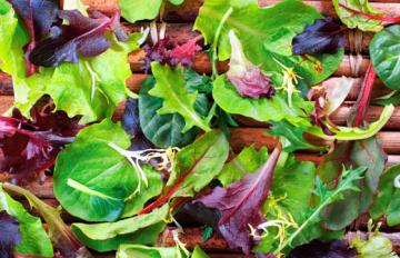 Зеленые листовые овощи снижают риск развития глаукомы