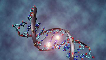 Обнаружен еще один ген, связанный с риском развития рака
