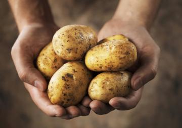Знаменитый фотограф продал снимок обычного картофеля за миллион долларов (ФОТО)