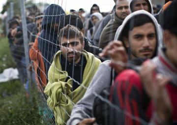Австрия планирует депортировать из страны 50 тыс. беженцев