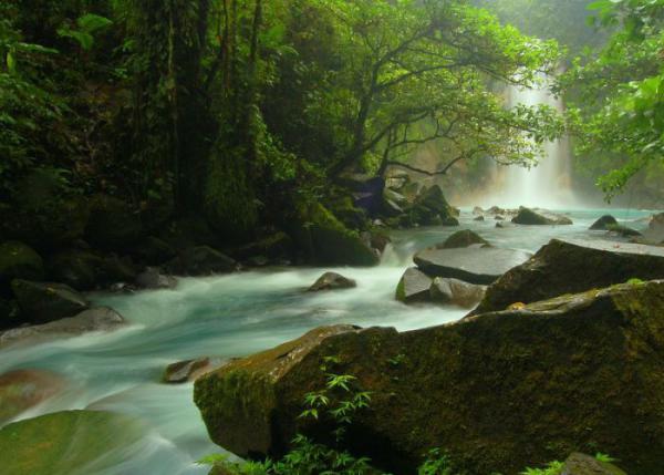 Вокруг света: Удивительная голубая река Рио Селесте (ФОТО)