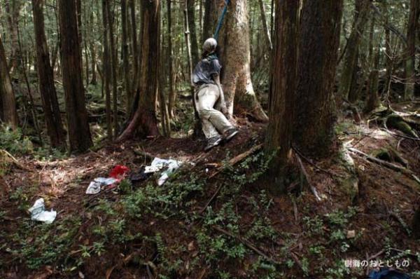 Аокигахара - коварный лес смерти в Японии (ФОТО)