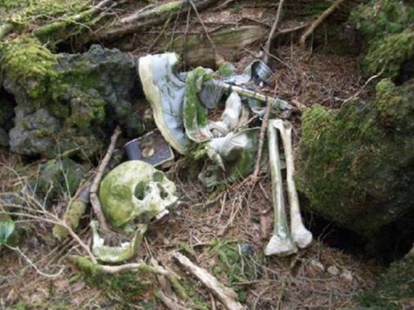 Аокигахара - коварный лес смерти в Японии (ФОТО)