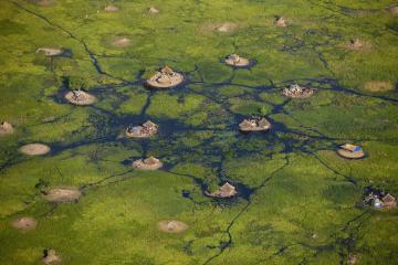 Прекрасная Африка, или что из себя представляют болота Садд (ФОТО)