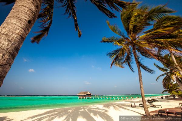 Мальдивы - рай на Земле! (ФОТО)