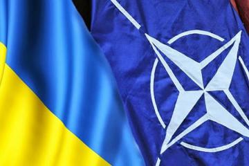 НАТО поможет Украине провести военную реформу
