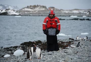 Пингвины Антарктиды холодно встретили Патриарха Кирилла (ВИДЕО)