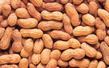 Диетологи рассказали, как арахис влияет на организм человека